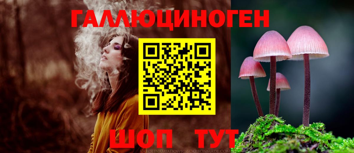 Красноярск  Псилоцибиновые грибы прущие грибы  Вход с VPN  Псилоцибиновые грибы мицелий 